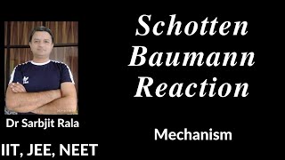 Schotten Baumann Reaction  Mechanism  by Dr Sarbjit Rala For Class 1 2 AIIMS NEET JEE BSc [upl. by Adnorahs]