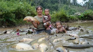 How to harvest longterm fish ponds and bring them to the market to sell with your children [upl. by Firestone]