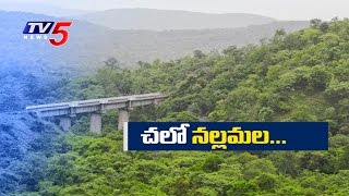 Ecotourism In Nallamala Forest  Kurnool  TV5 News [upl. by Ganiats844]