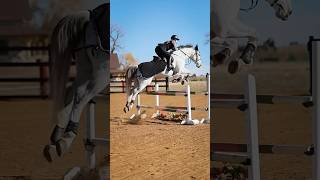 Love u Spring Fling🥰 horse equestrian fyp jumping farmlife [upl. by Hgieleak]