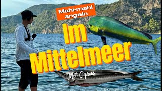 Mahi mahi angeln im Mittelmeer ￼ vom Strand youtuber fishing angeln ￼ [upl. by Allecnirp]