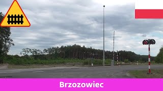 Železniční přejezdPrzejazd kolejowy Brzozowiec PL  272023 [upl. by Ivzt187]