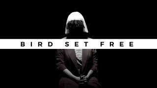 Sia  Bird Set Free Subtitulado al Español [upl. by Anol]