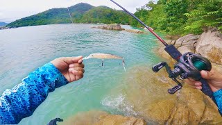 Strike BERTUBI di Taman Negara Teluk Bahang   Trekking Sejam ke Spot Syurga [upl. by Vizzone81]