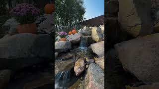 Happy Halloween and beautiful waterfalls from the PKWGs Family 🎃waterfall aquascape halloween [upl. by Aia]