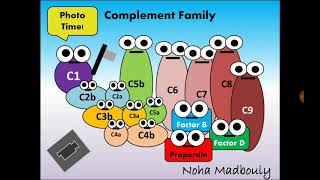 Immunity 7 Complement System النظام المتمم [upl. by Oiromed]