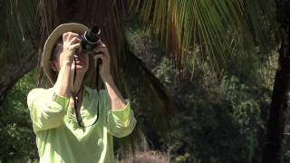 Photography Tips for Humid Climates [upl. by Tice221]