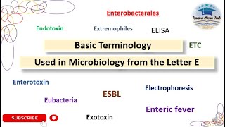 Basic terminology used in microbiology from Letter E raqbamicrohub laboratory microbiology [upl. by Heaps660]