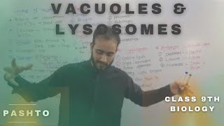 Vacuoles and Lysosomes In pashto  Very Easy  Bya ba darna Ne herege  Class 9th biology [upl. by Judith]