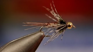 Bead Head Soft Hackle Pheasant Tail [upl. by Kane]