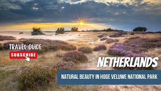 Natural Beauty in Hoge Veluwe National Park A Paradise for Nature Lovers in the Netherlands [upl. by Ennej]