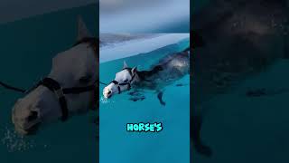 Why Do Horses Swim 🐴🌊🤔 [upl. by Howlond]