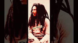 Natural Mystic  Bob Marley amp The Wailers [upl. by Marcille]