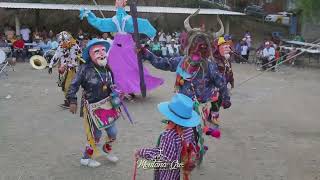 🚩 Estas son las danzas originales de la Región de la Montaña [upl. by Oicam605]