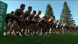 Strong day for local runners in Northwest Suburban Conference [upl. by Arjun]