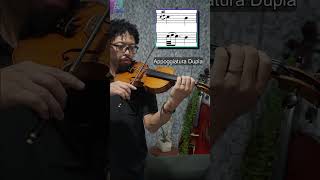 Tipos de Appoggiatura ou Apogiatura  Ornamentos Musicais  Como tocar Apojatura no Violino ou Viola [upl. by Fiora]