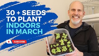 Seeds to Plant Indoors in March [upl. by Georglana]