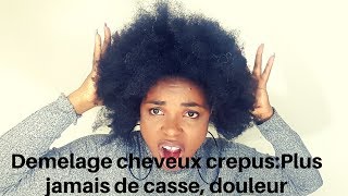 Comment Demeler les cheveux Crepus secs sans les Casser [upl. by Akoyn]