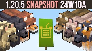 Minecraft 1205 Snapshot 24W10A  8 New Wolves amp Custom Banners [upl. by Kath311]