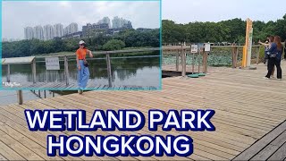 Wetland Park Hongkong [upl. by Nwahsyt]