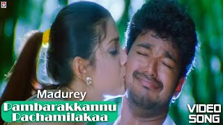 Pambarakkannu Pachamilakaa Hd Video Song  Madurey Tamil Movie  Vijay  Sonia Agarwal  Vidhyasagar [upl. by Disario]