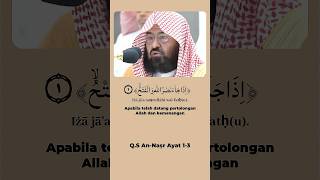 Surah AnNasr ayat 13 shorts quran [upl. by Edlitam149]