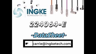 224064E DataSheet  ingketechnet [upl. by Hobbs646]