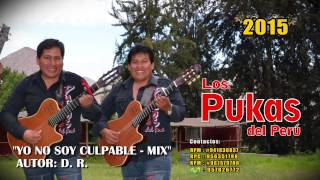 LOS PUKAS 2015  YO NO SOY CULPABLE  8 [upl. by Ahseela289]