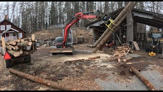 Excavator makes firewood processing easy Timelapse [upl. by Idaline]