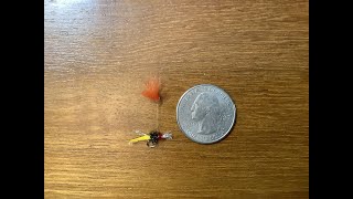 Fly tying a Parasol Midge [upl. by Steck738]