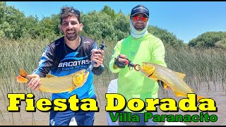 Pesca de Dorados en Villa Paranacito ER [upl. by Ylrae26]