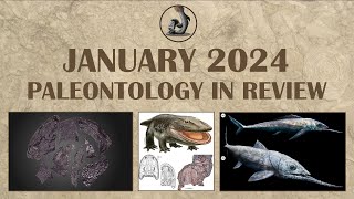 January 2024 Paleontology in Review [upl. by Keir]