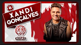 XANDI GONÇALVES  Pod Rosas 16 [upl. by Mossolb]