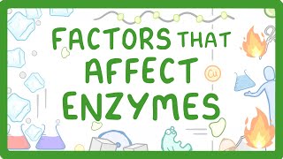 GCSE Biology  Enzymes  How Temperature and pH Affect Rate of Reaction [upl. by Franchot]