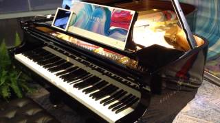 Steinway Spirio Grand Piano NAMM 2017 [upl. by Idnak]