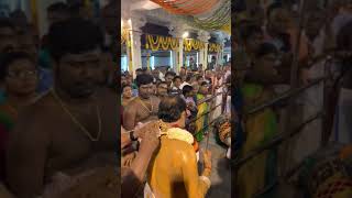 Sivaramangalam Periya Sastha Ayyanar Kovil Kodai 2019 [upl. by Eadahs]