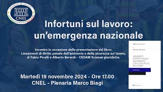 CNEL  Infortuni sul lavoro un’emergenza nazionale  19112024 [upl. by Burd]