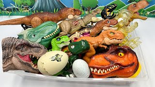 Dinosaur Tyrannosaurus Rex Box TRex Head Robot Eggs 티라노사우루스 공룡 [upl. by Aniretake]