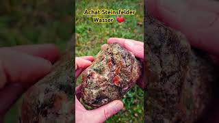 Achat Stein Achat finden Achat sammeln agate stone thunder egg nature beutifullnature gemstone [upl. by Haimaj]