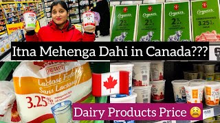 Dairy Products Price In Canada  Dahi Price In Canada  Milk Products In Canada🇨🇦 No frills [upl. by Zebe]