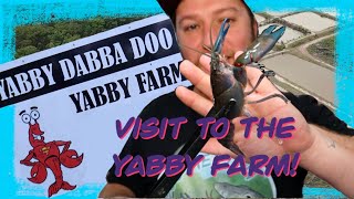 Yabby Dabba Doo CrawfishYabby Farm Tour Where does Docs food come from [upl. by Elson]