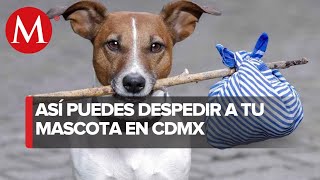 Todo lo que debes saber del crematorio para animales en CdMx [upl. by Bruell]