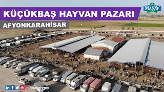 Afyon Küçükbaş Hayvan Pazarı [upl. by Nimar]