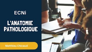 ECNi  Anatomie pathologique [upl. by Adlitam]