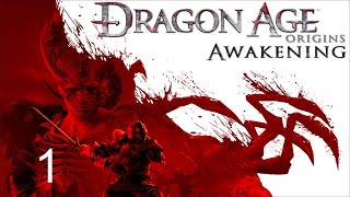 Vigils Keep  Dragon Age Origins  Awakening  Part 1 [upl. by Alo]