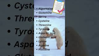 Polar vs NonPolar Amino Acids Natures Yin and Yang aminoacids biochemistry [upl. by Orecic664]