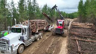 Komatsu 875 loading a Kenworth Truck in Australia [upl. by Riek503]