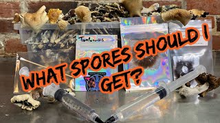 Mushroom spores 101  What are they and the differences between them [upl. by Neivad]