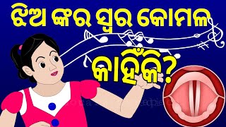 BUDHIA BUDHABAR 56 ପୁଅ ଓ ଝିଅ ଙ୍କର voice ଅଲଗା କାହିଁକି  Why do women have shriller voices than men [upl. by Saraann]