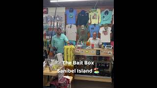 The Bait Box Sanibel Island 🏝️ [upl. by Ydnys]